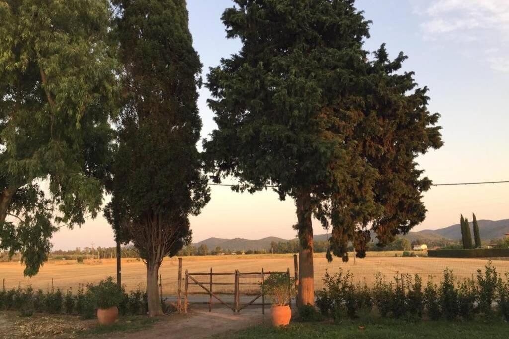 Azienda Agricola Maremma Bio مارسياينا المظهر الخارجي الصورة